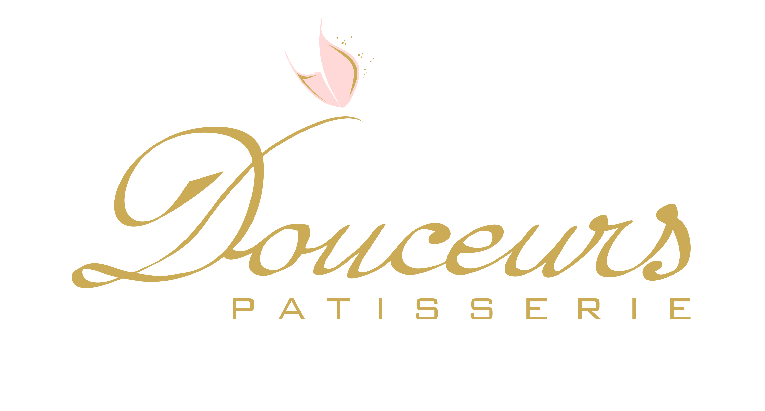 light logo